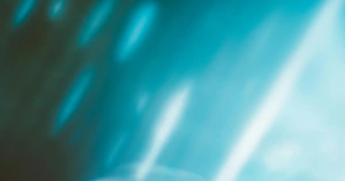 En İyi Güneş Kremi Seçimi ve Kullanım İpuçları 2025