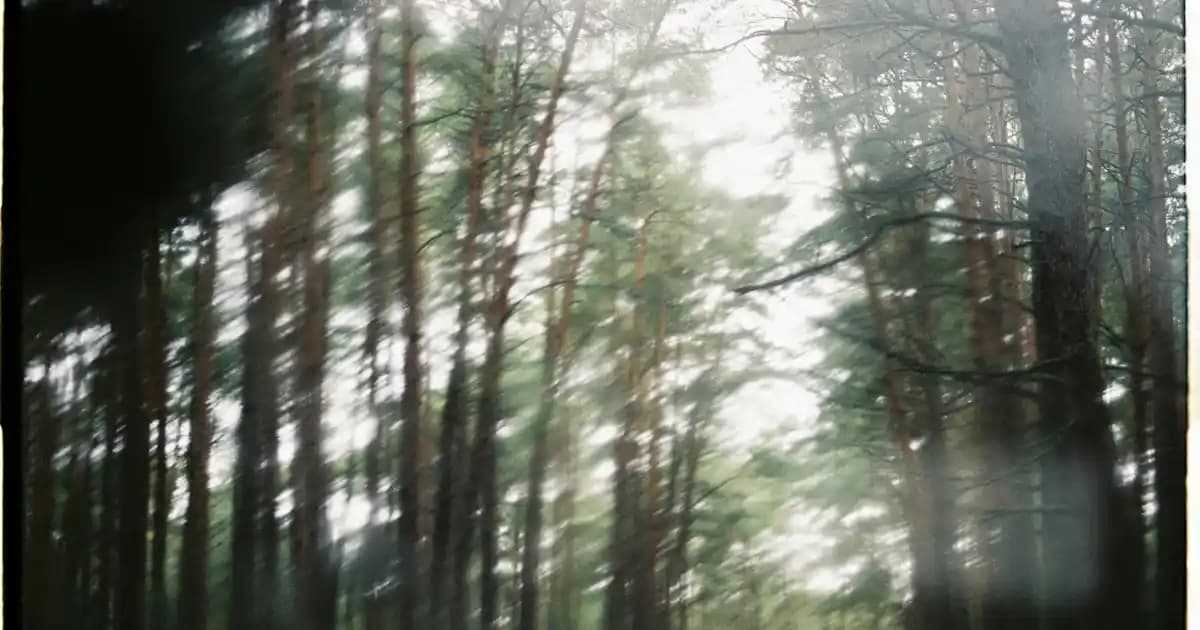 2025'te Saçlarınızda Devrim Yaratacak En İyi Kuaför Boyası Seçenekleri