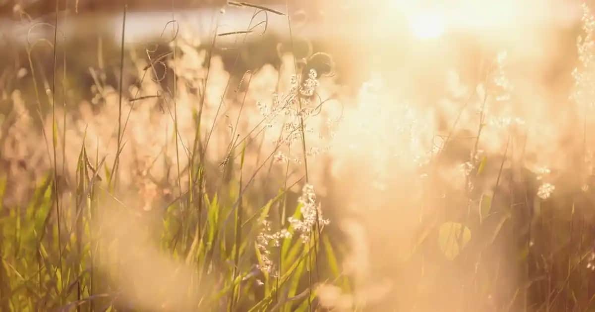 En İyi Saç Maskeleri ve Bakım İpuçları Saçlarınızı Güçlendirmek İçin
