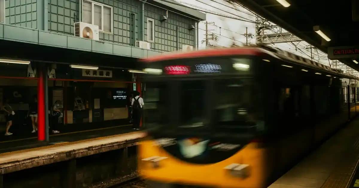 En İyi Tip 2 Kolajen Takviyeleri ve Eklem Sağlığı İçin Doğru Seçenekler