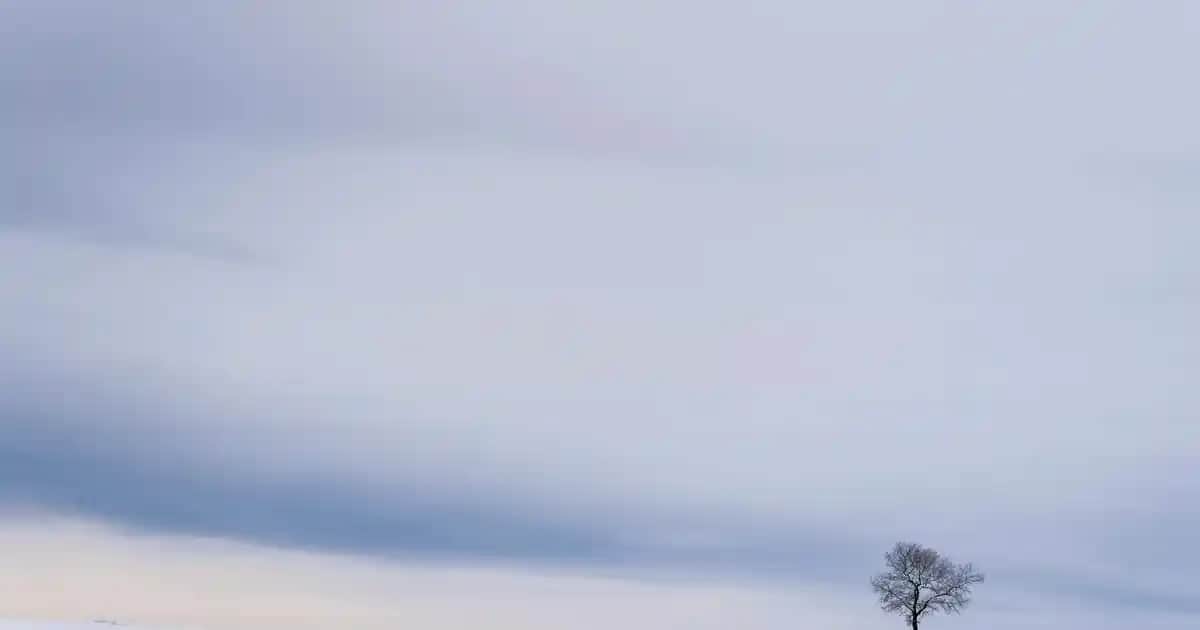 En İyi Vücut Peelingleri: Cildinizi Yenileyen ve Parlatan Ürünler Rehberi