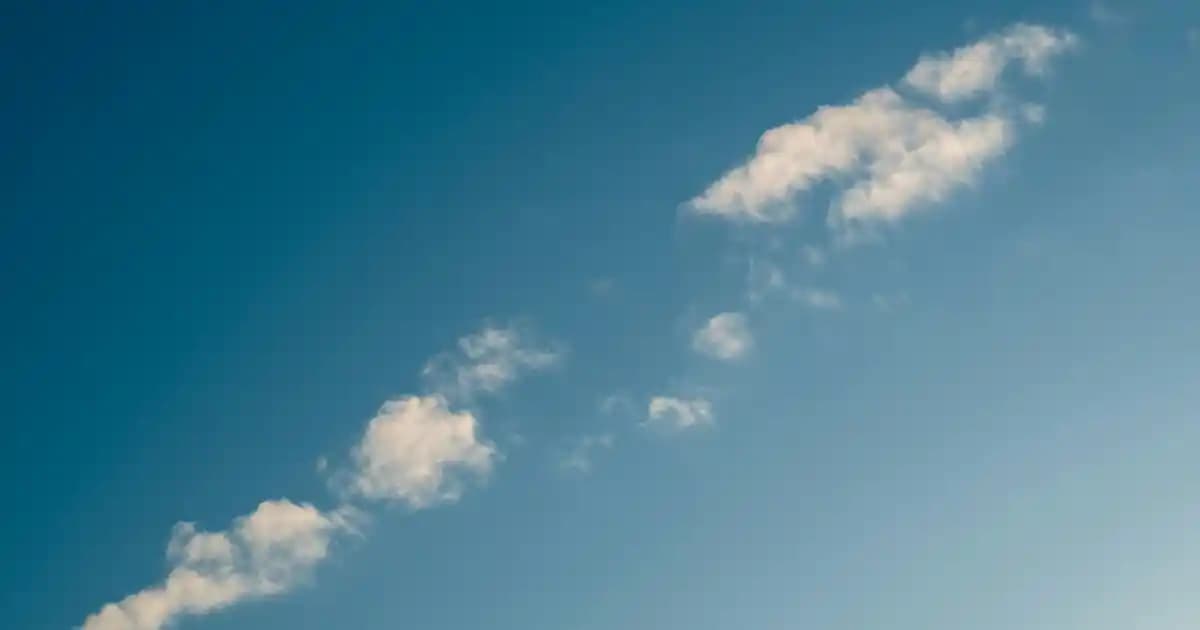 Erkek Vücut Losyonları: Günlük Cilt Bakımında Temel Rolü ve Doğru Seçim Rehberi