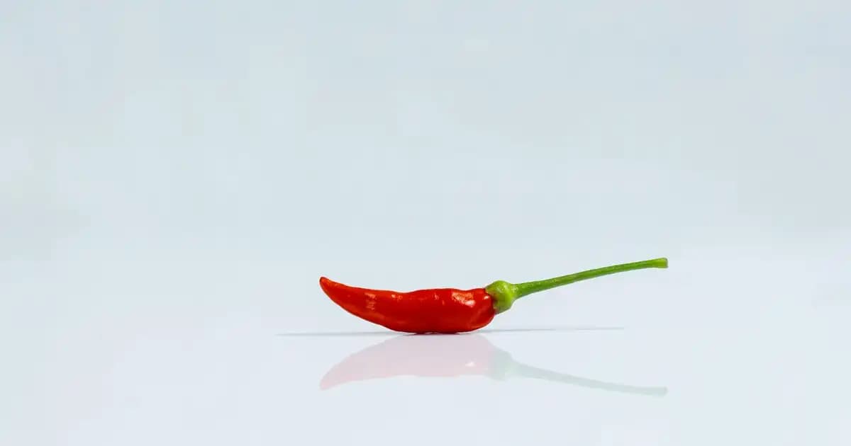 Erkekler İçin Genital Bölge Mantar Kremi Seçimi ve Kullanım Rehberi