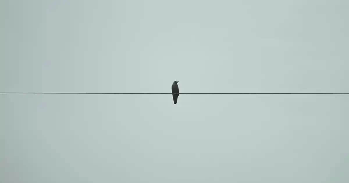 Essence Heart Core Dudak Bakım Serisi: Yenilikçi ve Doğal Çözümler