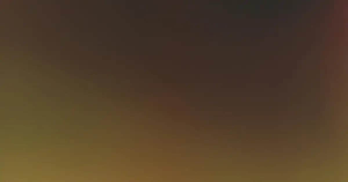 Essence makyaj ürünleri: uygun fiyatlı ve etik kozmetik çözümleri hakkında detaylar