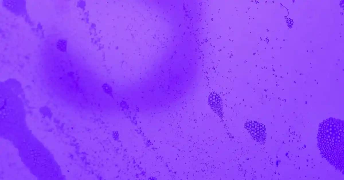 État Pur Saf Vitamin C %10 Serumu ile Cilt Sağlığını Güçlendirme Rehberi