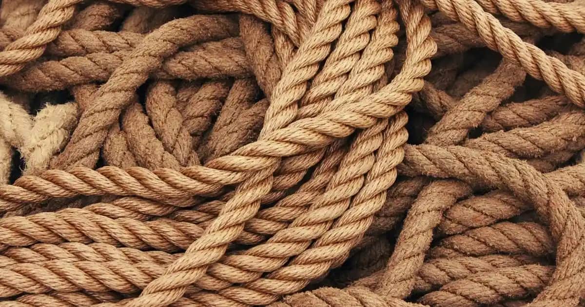 Eternity Kadın Parfümü: Kalıcılık ve Zamansızlık Sunan İkonik Koku Seçeneği