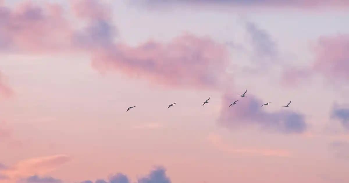 Eyüp Sabri Kozmetik Markası: Gelenekselden Modernliğe Uzanan Yolculuk