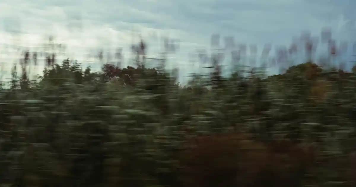 Farmasi Dr. Tuna Sarımsaklı Şampuan ile Saç Sağlığını Güçlendiren Doğal Bakım Ürünü