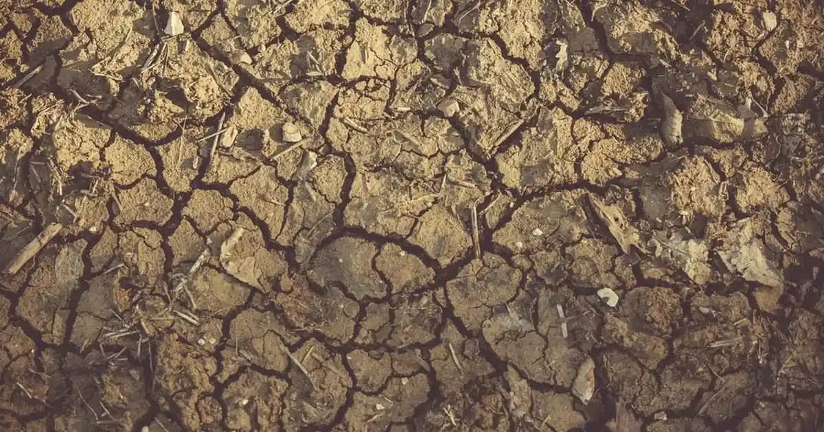 Flormar 243 Dudak Kalemi Özellikleri ve Makyajda Kullanım İpuçları