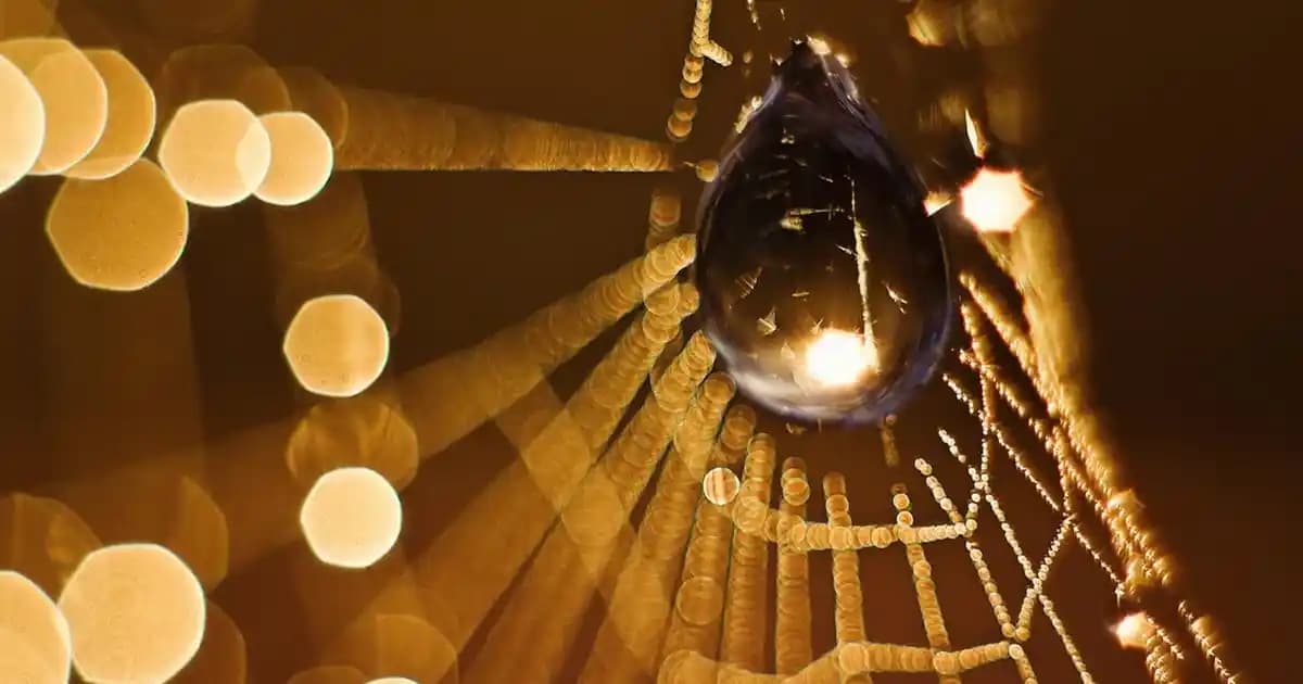 Flormar Kontür Stick 02 Medium: Doğal ve Pratik Yüz Kontürleme İçin İdeal Seçenek