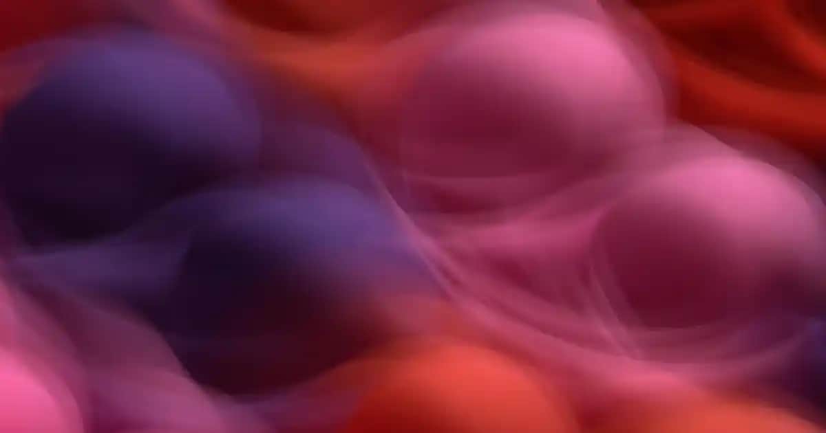 Flormar Silk Matte Renkleri ve Dudak Makyajında Kullanım Rehberi