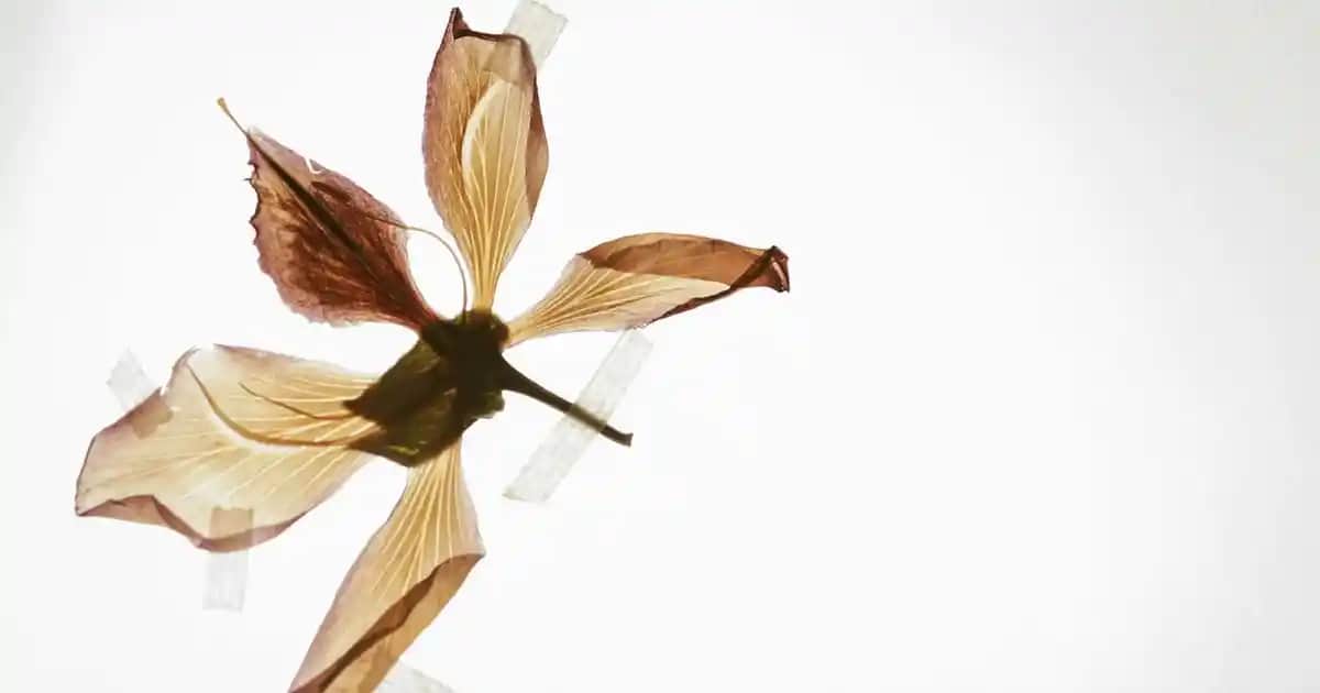 Flormar Stick Kontür 03: Doğal ve Belirgin Yüz Hatları İçin Pratik Makyaj Ürünü