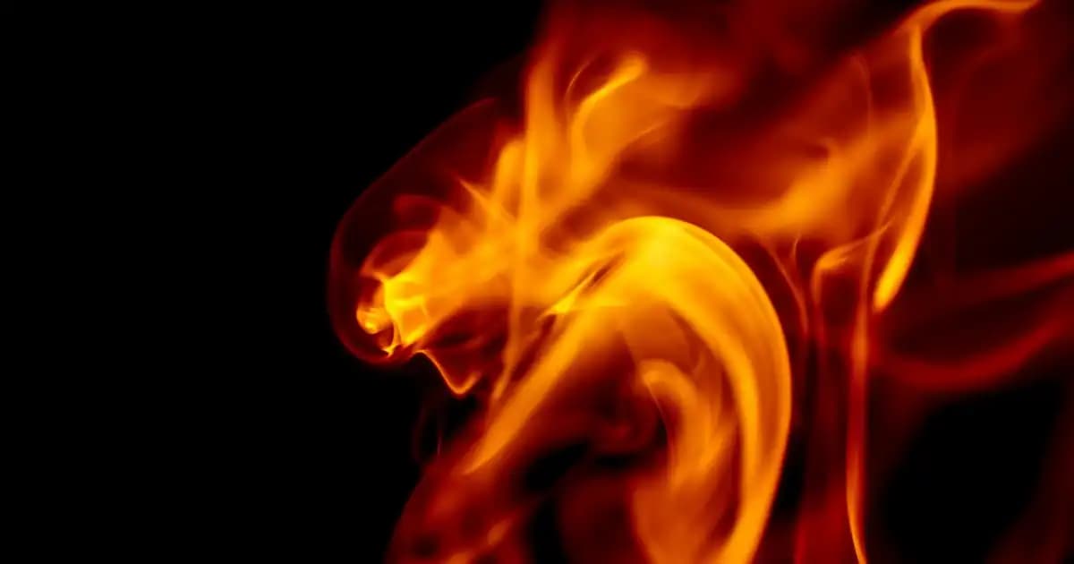 Fön Tarağı Nedir, Nasıl Kullanılır ve Saç Şekillendirmede Avantajları Nelerdir