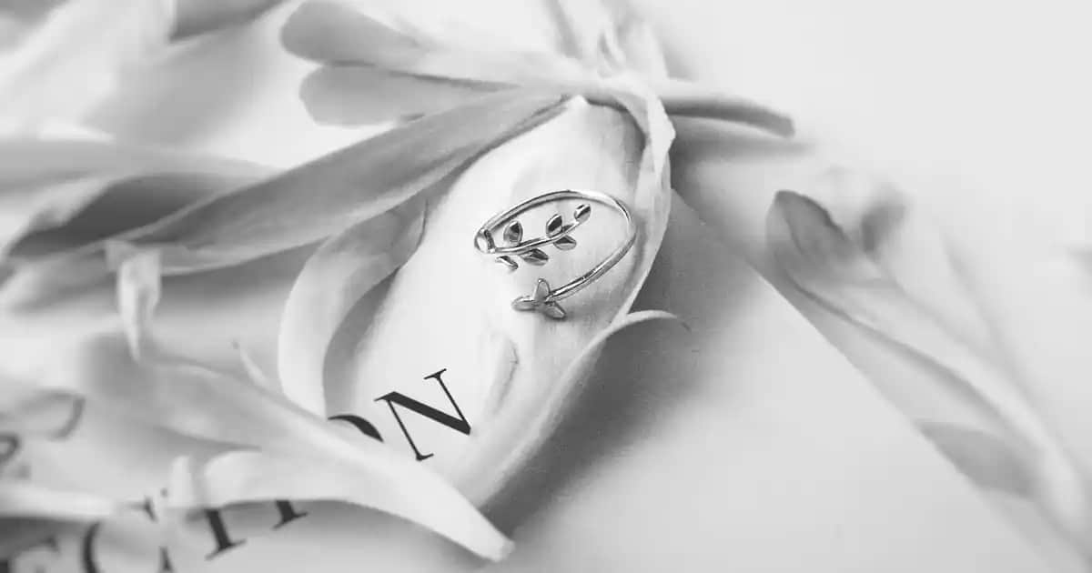 Gabbana Parfüm Koleksiyonu ve 2023 Yılı Yeni Çıkanlar Hakkında Detaylı Bilgi