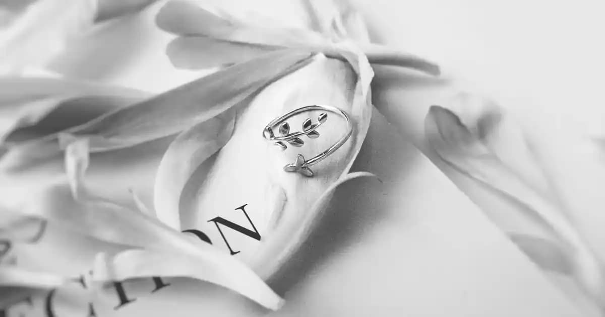 Gabbana Parfüm Koleksiyonu ve 2023 Yılı Yeni Çıkanlar Hakkında Detaylı Bilgi