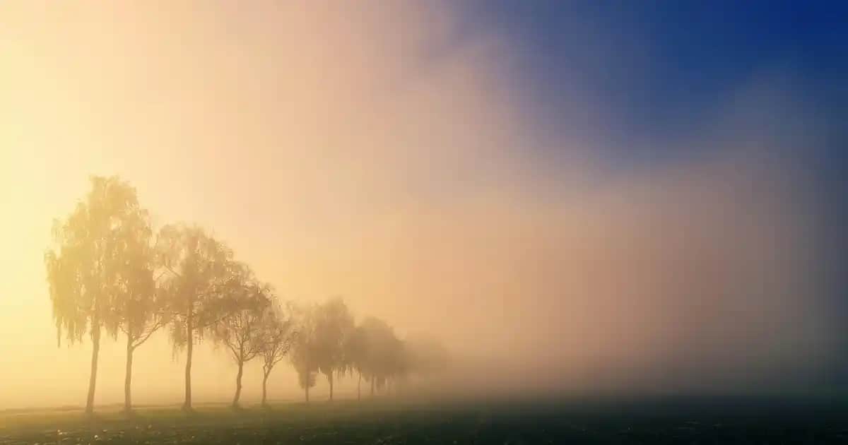 Garnier Ekstra Yoğun Siyah Saç Boyası: Kalıcı ve Doğal Siyah Renk İçin En İyi Tercih