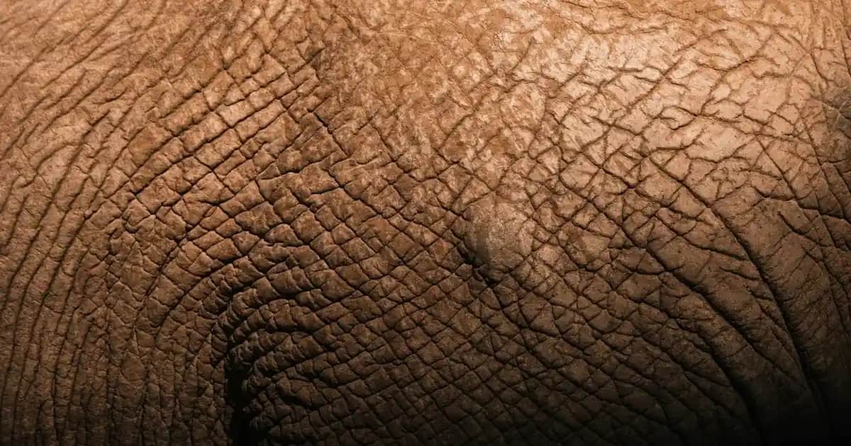 Gebelikte Vücutta Sivilcelenmenin Nedenleri ve Güvenli Çözüm Yolları