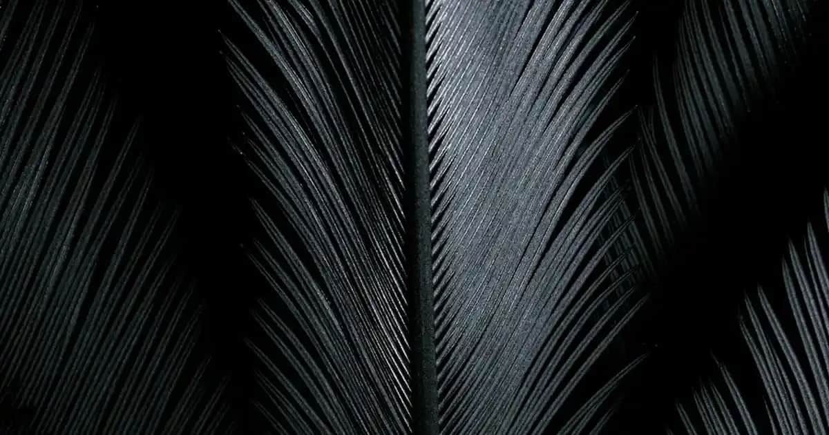 Gillette Fusion5 Erkekler İçin Yüksek Performanslı Tıraş Bıçağı Özellikleri ve Karşılaştırmaları