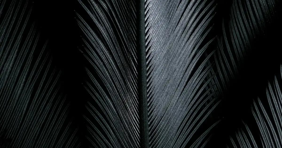 Gillette Fusion5 Erkekler İçin Yüksek Performanslı Tıraş Bıçağı Özellikleri ve Karşılaştırmaları