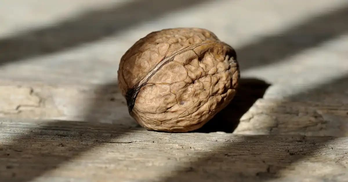 Gillette Tıraş Kolonyası: Erkek Bakımında Ferahlatıcı ve Etkili Çözümler