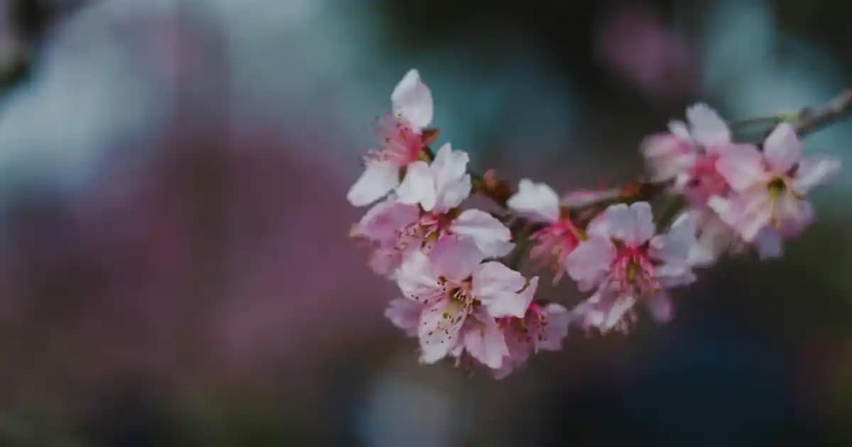 Glikolik Asit Fiyatları ve Kozmetik Sektöründeki Yeri Analizi
