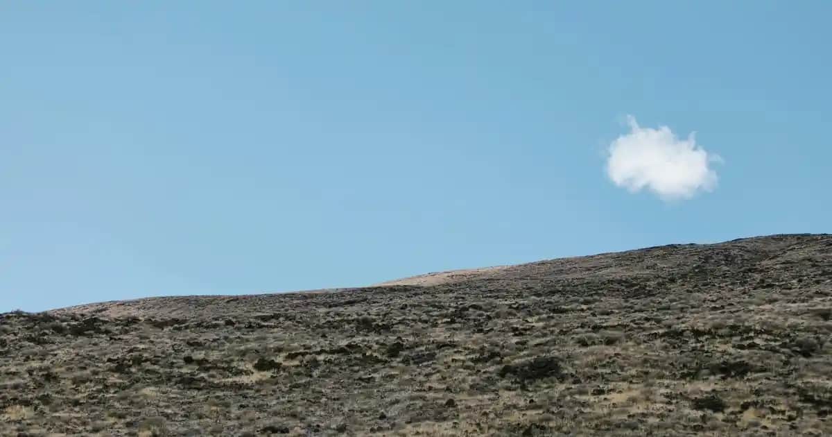 Glukozaminin Kozmetik ve Sağlık Alanındaki Kullanım Alanları ve Faydaları