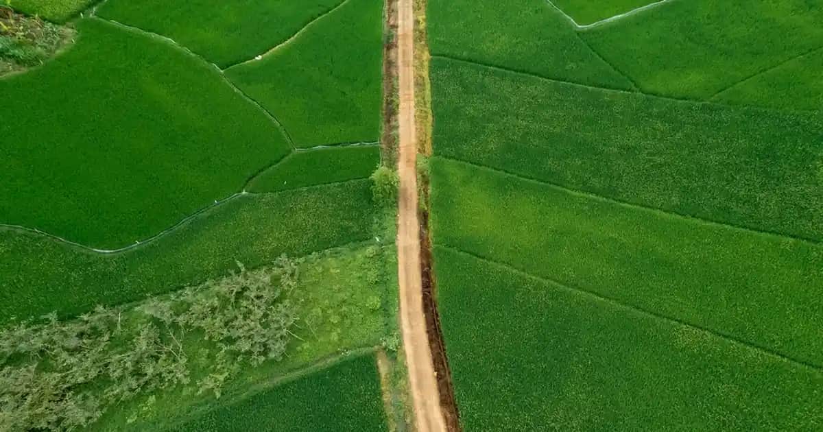 Göz Altına Akmayan Rimel Seçenekleri ve Kalıcı Makyaj İpuçları