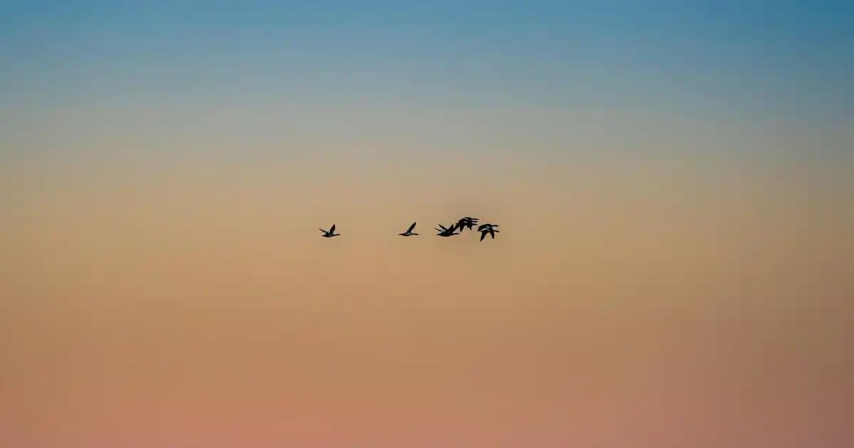 Göz Makyajı Temizleme Rehberi: En İyi Ürünler ve Doğru Teknikler