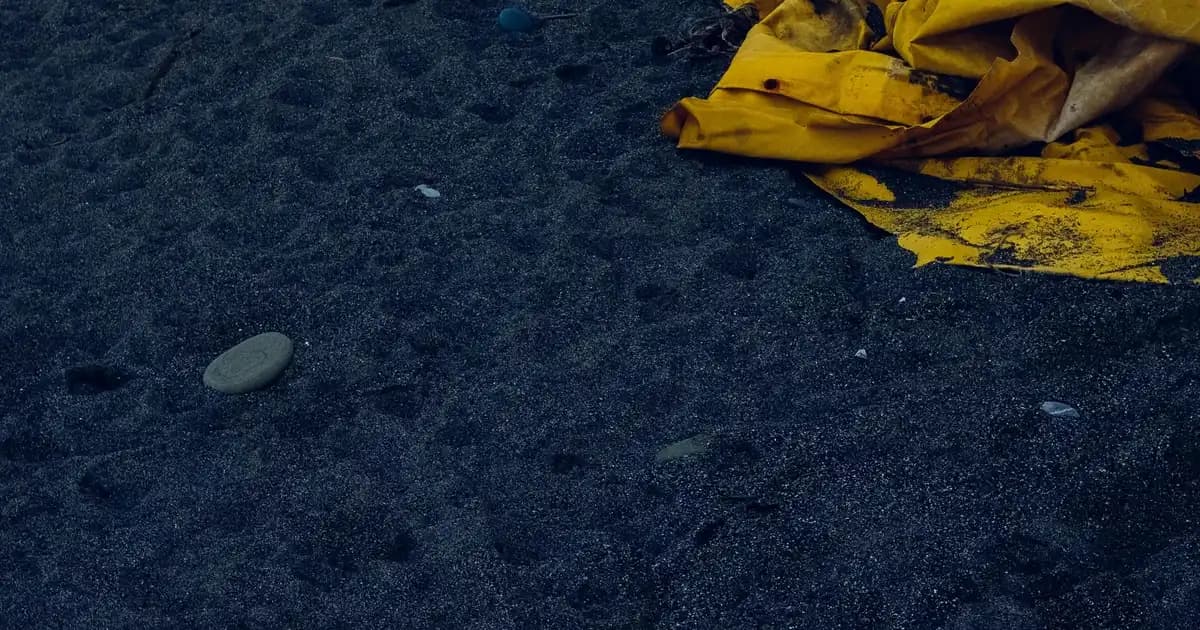 Güneş Kreminde PA Nedir ve UVA Koruma Seviyesi Nasıl Anlaşılır
