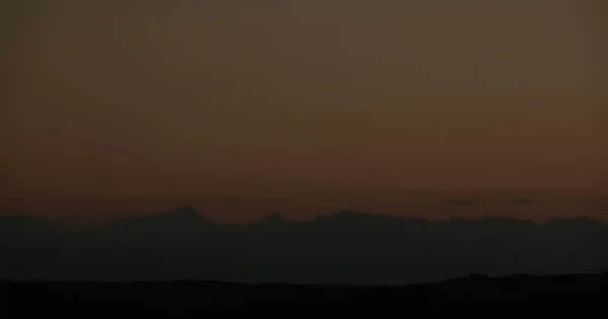 Hangi C Vitamini Ürünü ve Takviyesi Seçilmeli Sağlık ve Kozmetik Amaçlı Rehber