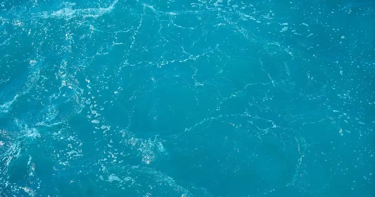 Head & Shoulders Mentol Şampuan: Ferahlatıcı ve Kepek Önleyici Saç Bakım Ürünü