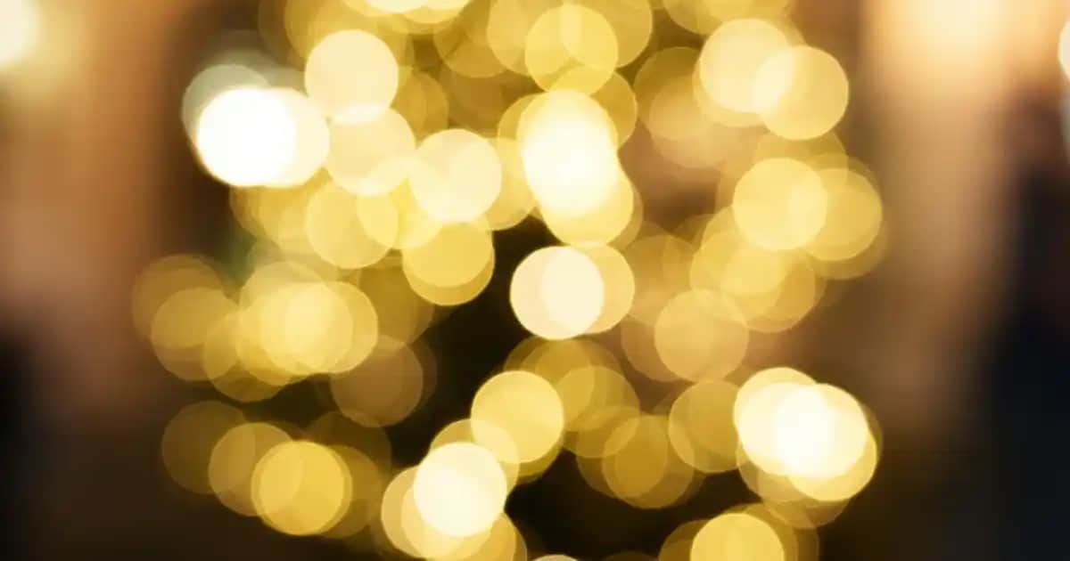 Herrera Parfüm: Zarafet ve Feminenliğin İkonu, Lüks ve Şıklığın Temsilcisi