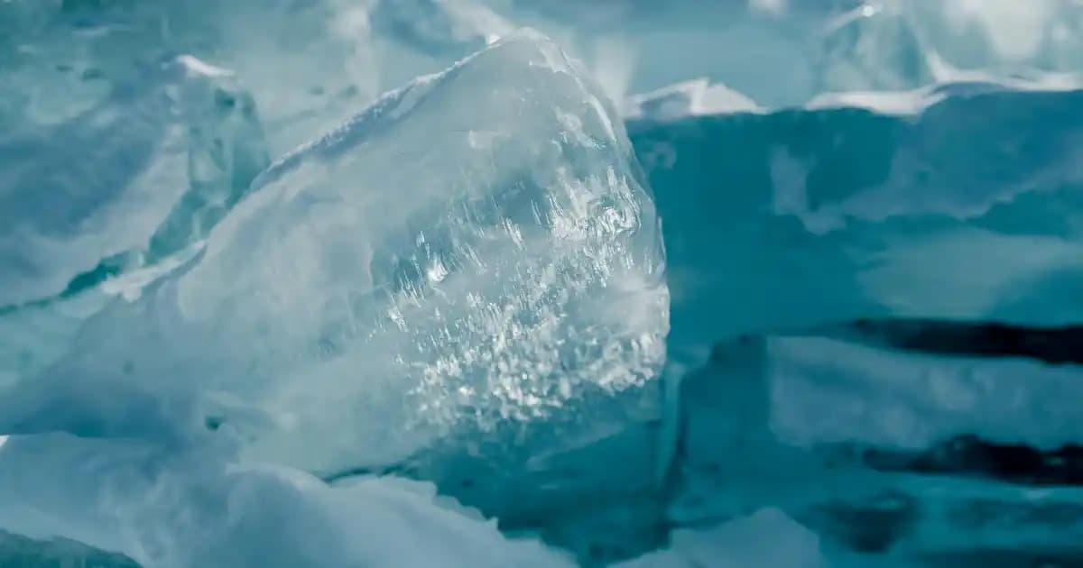 Hindistan Cevizi Yağı: Kozmetik ve Sağlıkta Doğal Güzelliğin Anahtarı