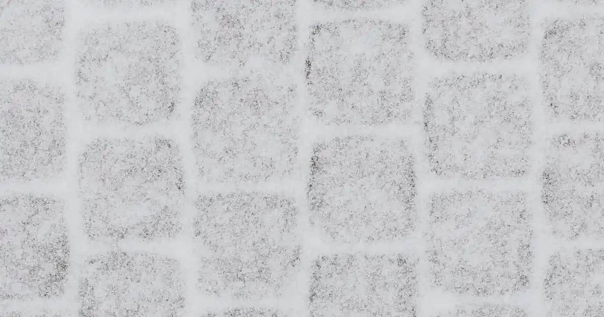 İnce Telli Saçlar İçin Doğru Tarak Seçimi ve Bakım İpuçları