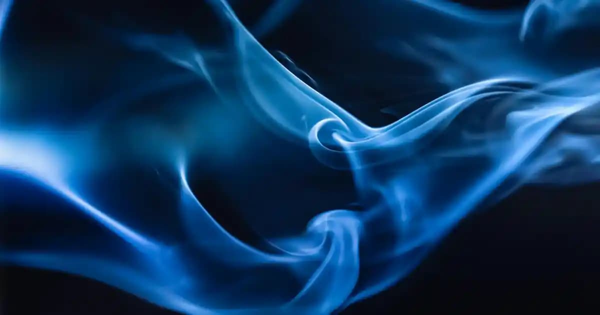 Jagler Bayan Parfüm İçeriği ve Kalıcılık Özellikleri Hakkında Detaylar