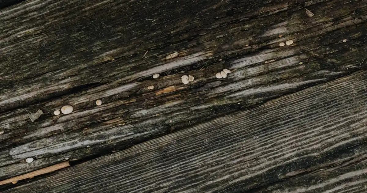 K harfiyle başlayan güvenilir ve yenilikçi kozmetik markaları hakkında kapsamlı bilgi