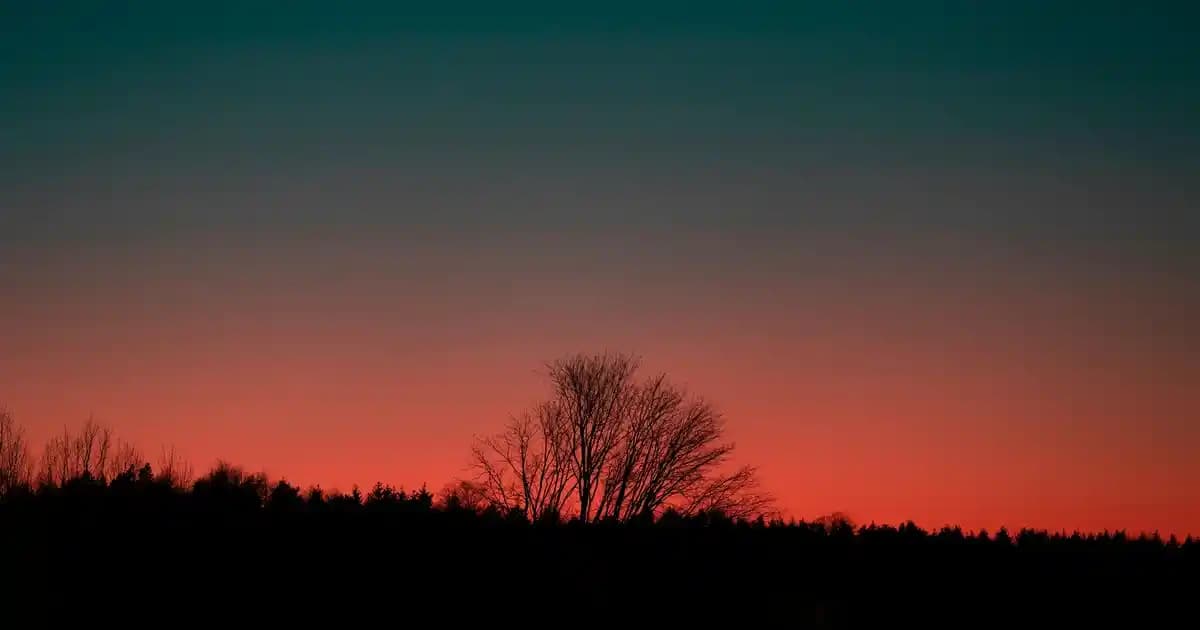 Kabak Lifi Nedir, Çeşitleri ve Faydalarıyla Doğal Temizlik ve Bakım Seçenekleri