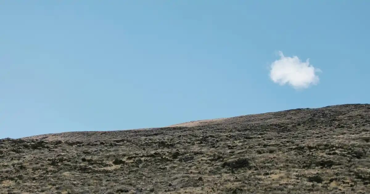 Kadınlar İçin Pudrasız Rexona Deodorant Seçenekleri ve Kullanım İpuçları