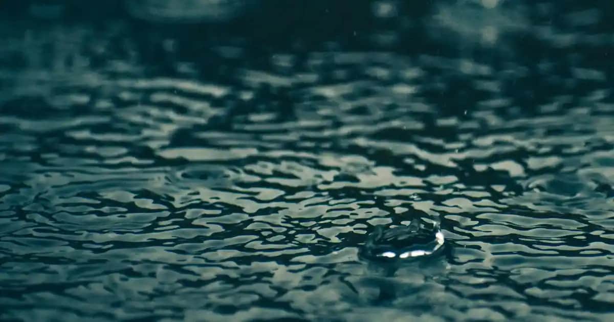 Kadınlar İçin Sağlıklı Güzellik ve Denge Sağlayan Pharmaton Women Ürünleri