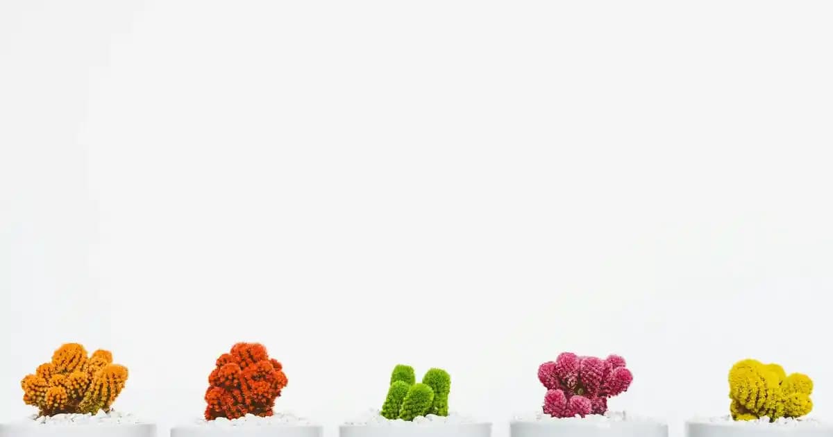 Kalıcı Dipliner Uygulaması ve Kalıcılık Süresi Hakkında Bilmeniz Gerekenler