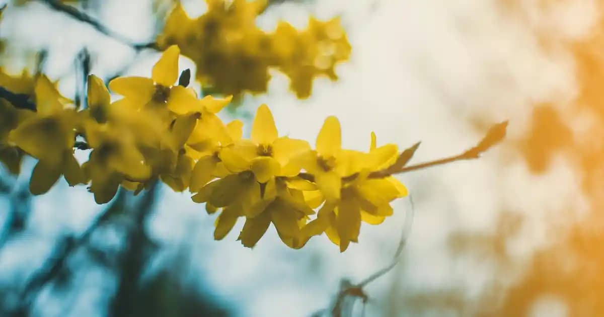 2025'te Kalıcı Oje Malzemeleriyle Tırnaklarınızda Şıklık ve Dayanıklılık