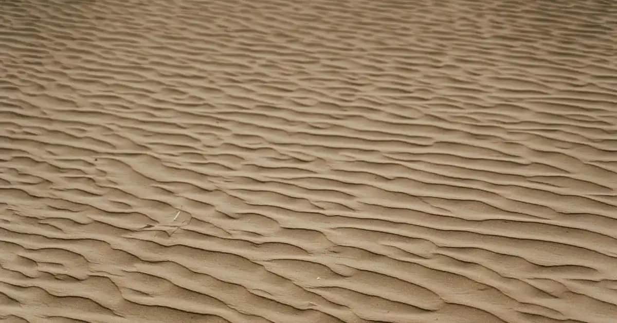 Kalyon Oje Koruyucu ile Güçlü ve Uzun Süre Dayanan Tırnak Bakımı Rehberi