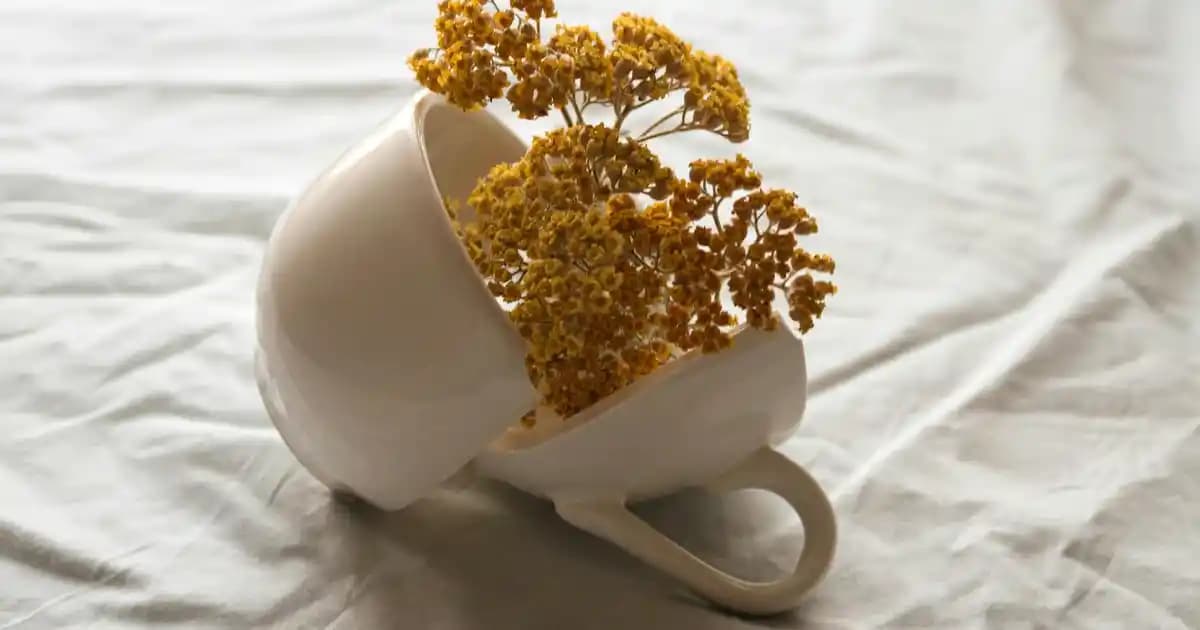 Kan İlacı Sıvı Formu ve Kozmetik Uygulamalarda Güvenli Kullanım Rehberi