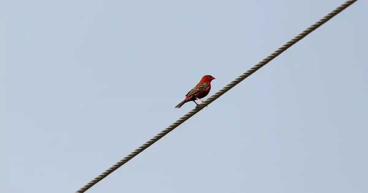 Kapatıcı Renkleri ve Uygulama Teknikleri: Makyajda Doğru Renk Seçimi ve Kullanımı
