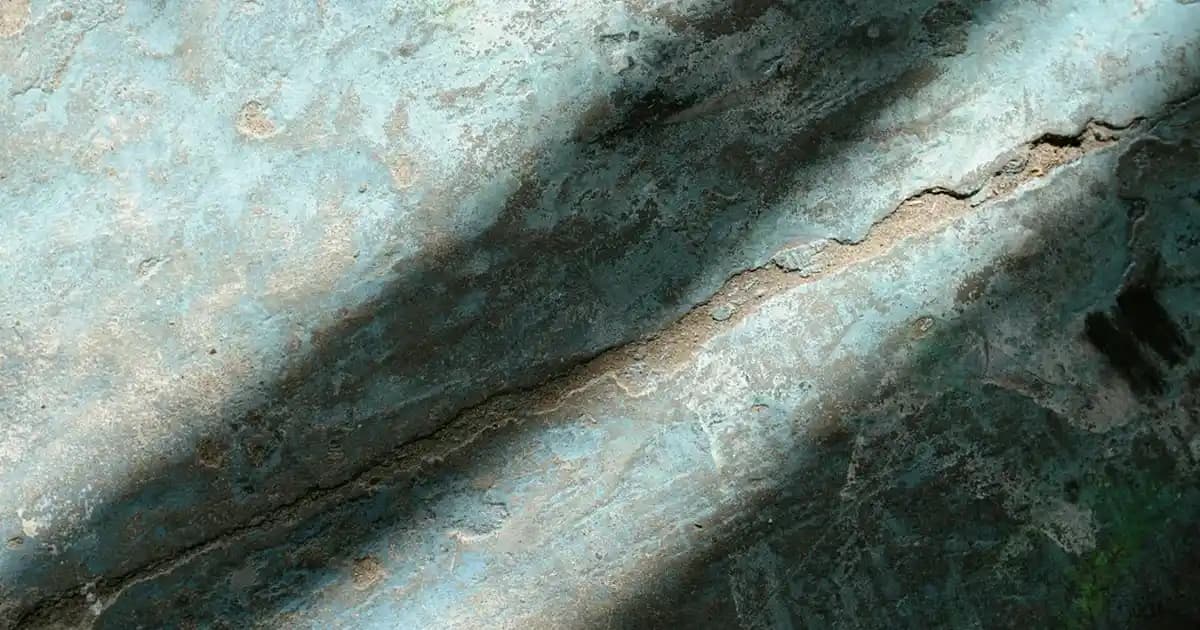 Kara Mürverin Kozmetik Alanındaki Faydaları ve Doğal Güzellik İçin Kullanımı