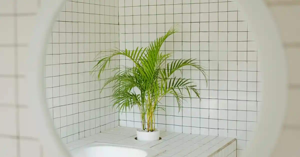 Karamel Kahve Saç Boyası: Doğal ve Sıcak Tonlarla Şık ve Bakımlı Görünüm