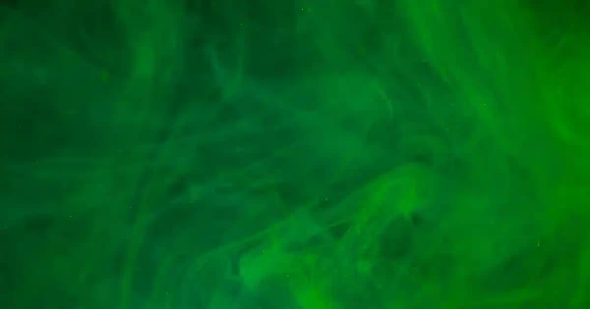 Kaş ve Kirpik Fırçası: Güzellik Rutininizdeki Temel Araçlar ve Kullanım İpuçları