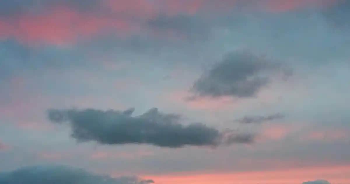 Kemik Sağlığı İçin Kolajen Takviyesi: Faydaları ve Kullanım Kılavuzu