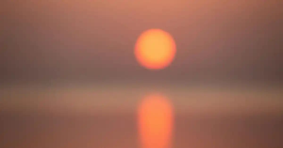 Kepek ve Dökülmeye Karşı En Etkili Şampuanlar: Saç Sağlığınızı Güçlendiren Çözümler